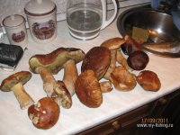IMG_3717.jpg