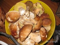 IMG_3741.jpg