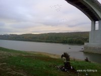 IMG113.jpg