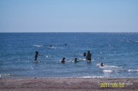 100_1055.JPG