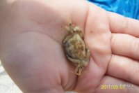 100_1107.JPG