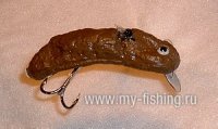 tn_3753minnow.jpg