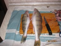 IMG_3904.jpg