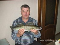 IMG_3954.jpg