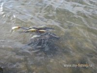 IMG_3944.jpg
