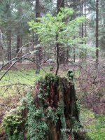 IMG_0657.JPG