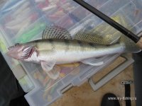 IMG_0327.JPG