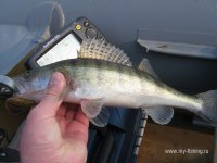 IMG_0341.JPG