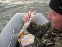 IMG_0344.JPG