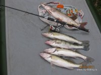 IMG_4026.jpg