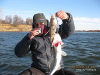IMG_4043.jpg