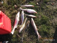 IMG_4056.jpg