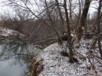 DSC003.JPG