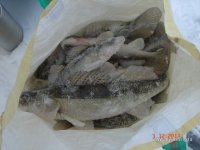 DSC06190.JPG