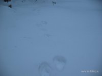 IMG_0900.JPG