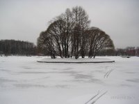 064.JPG
