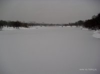 190.JPG