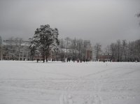 133.JPG