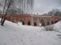229.JPG