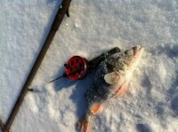 IMG_0191.JPG