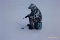 IMAG0526.jpg