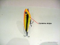IMG_0163.JPG