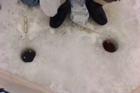 IMAG0539.jpg