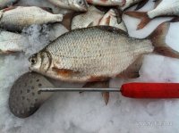 IMG_0261.JPG