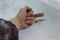 IMAG05681.jpg