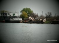 SAM_0544.JPG