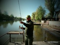 SAM_0589.JPG
