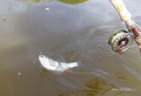 IMG_1846.JPG