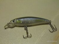 IMG_0922.JPG