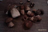 IMAG0646.jpg