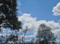 IMG_1891.jpg