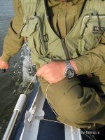 IMG_0385.JPG