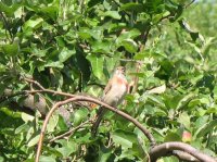IMG_1667.JPG