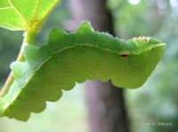 IMG_1704.JPG