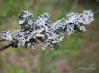 IMG_1707.JPG