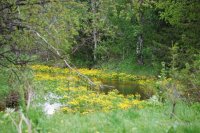 DSC_0131.JPG