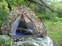 Изображение 962.jpg