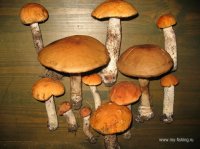 IMG_1833.JPG