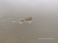 IMG_0366.jpg