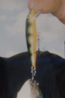рапала.jpg