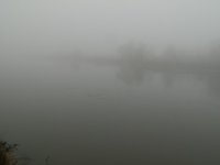 туман.jpg