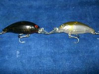 Изображение 014.jpg