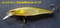 squadminnow 65.jpg
