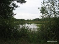 IMG_1954.JPG