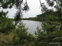 IMG_1969.JPG