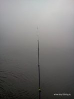 IMG236.jpg